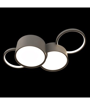 10317/4 Grey Потолочный светильник LOFT IT Pin-foto4