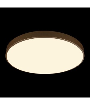 10228/B Потолочный светильник LOFT IT Flims-foto2