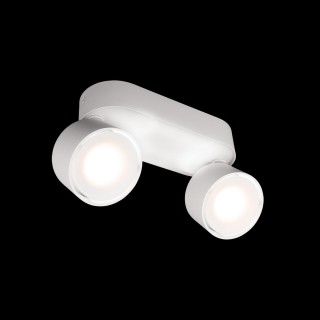 10323/2A White Накладной светильник LOFT IT Focus-foto2