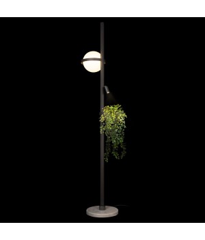10121/F Dark grey Торшер LOFT IT Jardin-foto2
