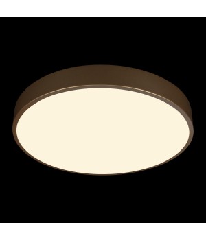 10228/A Потолочный светильник LOFT IT Flims-foto2