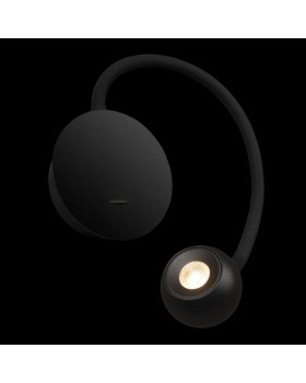 10254 Black Настенный светильник LOFT IT Point-foto8