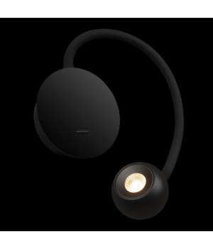 10254 Black Настенный светильник LOFT IT Point-foto8