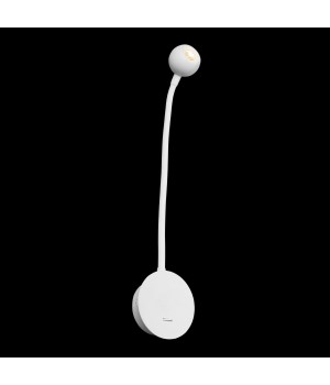 10254 White Настенный светильник LOFT IT Point-foto4