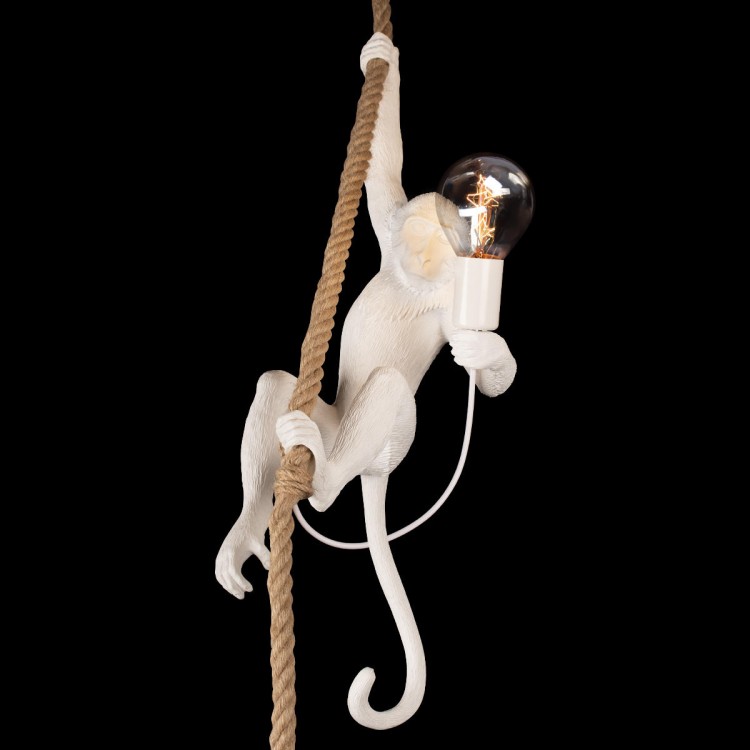 10314P Подвесной светильник LOFT IT Monkey