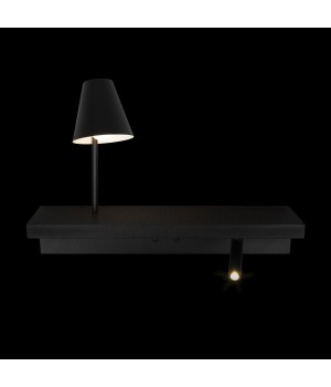10216/2W Black Настенный светильник LOFT IT Shelf-foto2