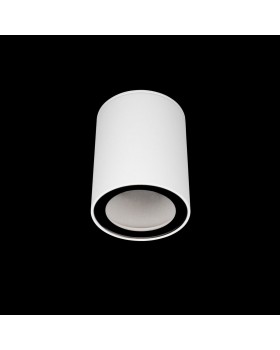 10344 White Накладной светильник LOFT IT Rush-foto2