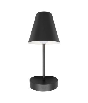 10216/1W Black Настенный светильник LOFT IT Shelf-foto3