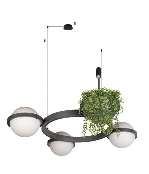 10121/3 Dark grey Подвесной светильник LOFT IT Jardin-foto3
