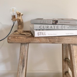 10313 Gold Настольная лампа LOFT IT Mouse-foto7