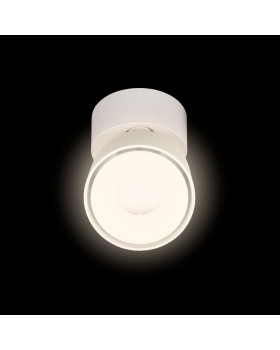 10323/A White Накладной светильник LOFT IT Focus-foto4