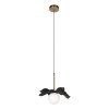 10213/A Black Подвесной светильник LOFT IT Monro