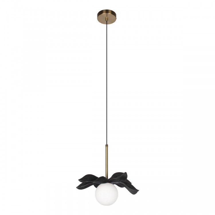 10213/A Black Подвесной светильник LOFT IT Monro