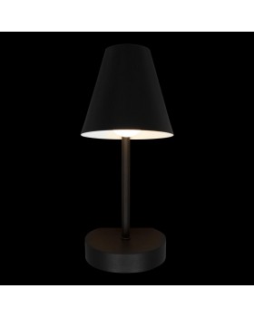 10216/1W Black Настенный светильник LOFT IT Shelf-foto4