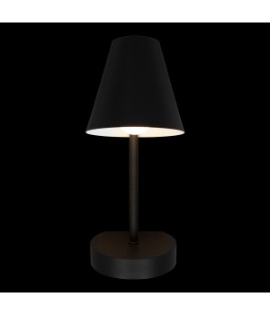 10216/1W Black Настенный светильник LOFT IT Shelf-foto4