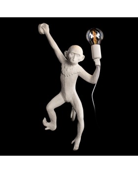 10314W/B Настенный светильник LOFT IT Monkey-foto2