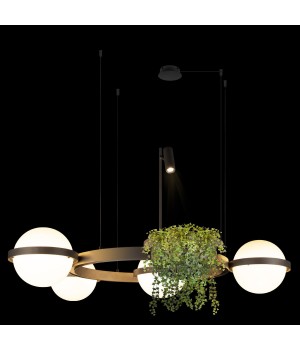 10121/4 Dark grey Подвесной светильник LOFT IT Jardin-foto2