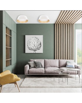 10224 White Потолочный светильник LOFT IT Evans-foto5