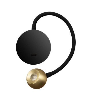 10254 Brass Настенный светильник LOFT IT Point-foto5