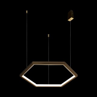 10016S Подвесной светильник LOFT IT Ring-foto5