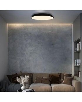 10226 Black Потолочный светильник LOFT IT Brim-foto7