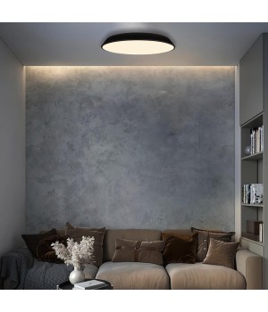 10226 Black Потолочный светильник LOFT IT Brim-foto7