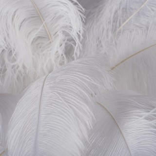 10067F/SG White Торшер LOFT IT Bijout-foto6