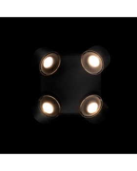 10326 Black Накладной светильник LOFT IT Case-foto4