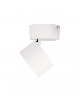 10323/A White Накладной светильник LOFT IT Focus-foto5