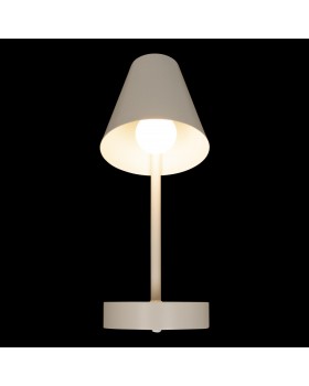 10216/1W White Настенный светильник LOFT IT Shelf-foto2