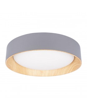 10202 Grey Потолочный светильник LOFT IT Coin