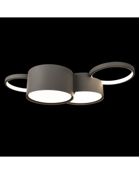 10317/4 Grey Потолочный светильник LOFT IT Pin-foto2