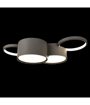 10317/4 Grey Потолочный светильник LOFT IT Pin-foto2