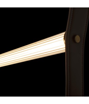 10221/1250 Подвесной светильник LOFT IT Liana-foto6