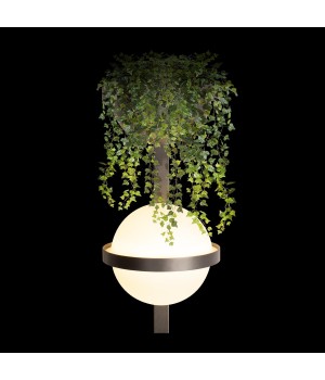 10121W/B Dark grey Настенный светильник LOFT IT Jardin-foto2