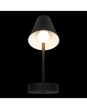 10216/1W Black Настенный светильник LOFT IT Shelf-foto2