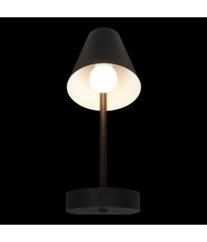 10216/1W Black Настенный светильник LOFT IT Shelf-foto2