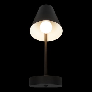 10216/1W Black Настенный светильник LOFT IT Shelf-foto2