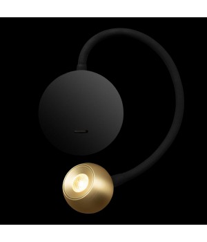 10254 Brass Настенный светильник LOFT IT Point-foto6