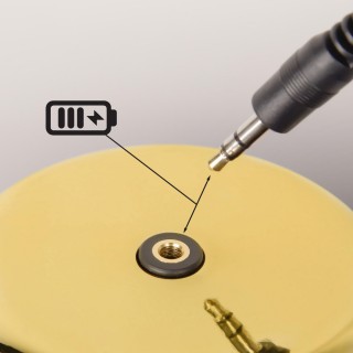 10233/C Gold Настольная лампа LOFT IT Brothers-foto9