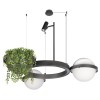 10121/2 Dark grey Подвесной светильник LOFT IT Jardin