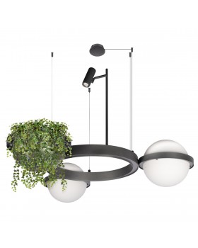 10121/2 Dark grey Подвесной светильник LOFT IT Jardin-foto5