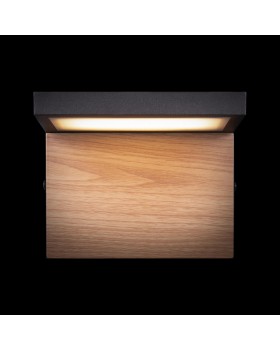 100001W Уличный настенный светильник LOFT IT Oak-foto7
