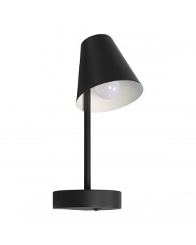 10216/1W Black Настенный светильник LOFT IT Shelf-foto5