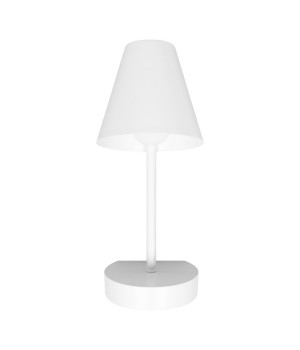 10216/1W White Настенный светильник LOFT IT Shelf-foto5