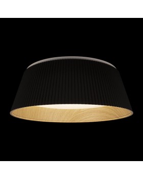 10224 Black Потолочный светильник LOFT IT Evans-foto2