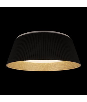 10224 Black Потолочный светильник LOFT IT Evans-foto2