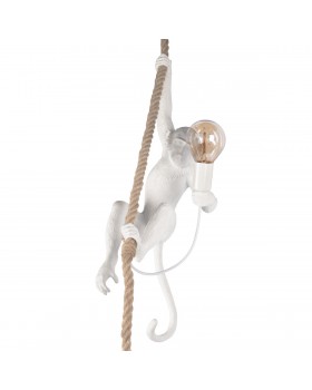 10314P Подвесной светильник LOFT IT Monkey-foto5