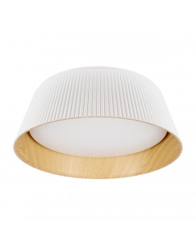 10224 White Потолочный светильник LOFT IT Evans