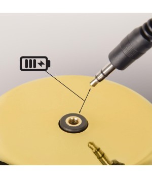 10233/D Gold Настольная лампа LOFT IT Brothers-foto9